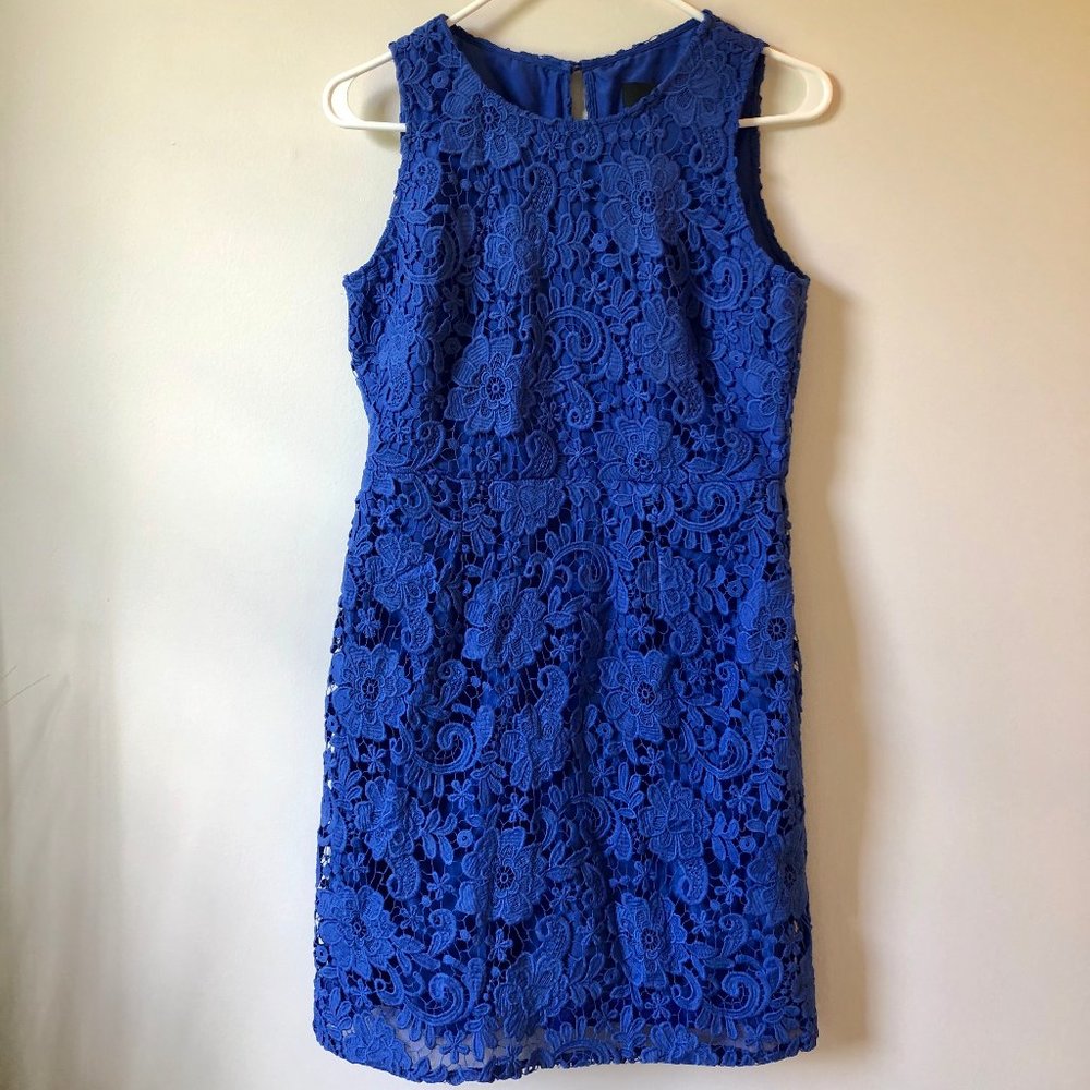 NWT Jcrew Royal Blue Lace Dress Sz 8P